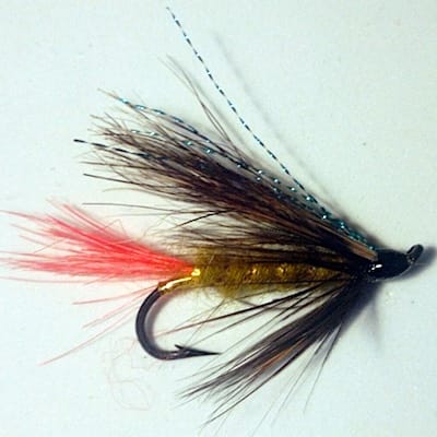 Forum (07/20) Seagull29