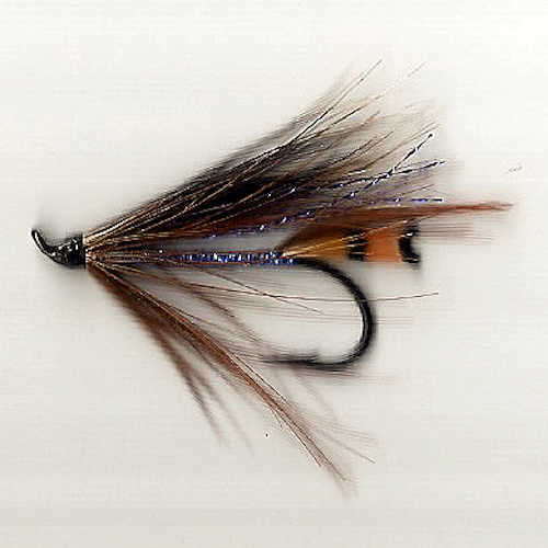 Forum (07/20) Seagull29