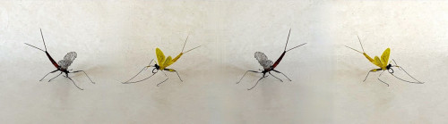 Montage réaliste de GOBELE09