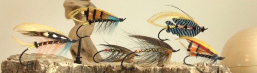 Nature morte de mouches Victoriennes CASA 1