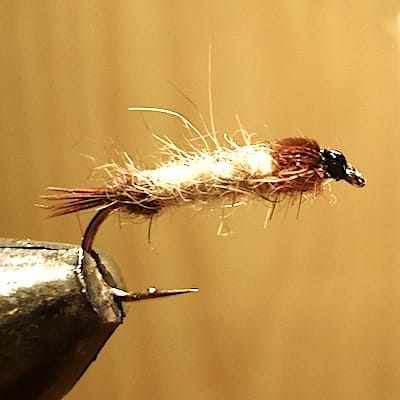 Nymphe de Mai, type ABFL (échange de mouches 05-07/21)