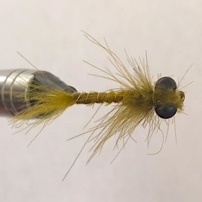 Nymphe de  libellulle 