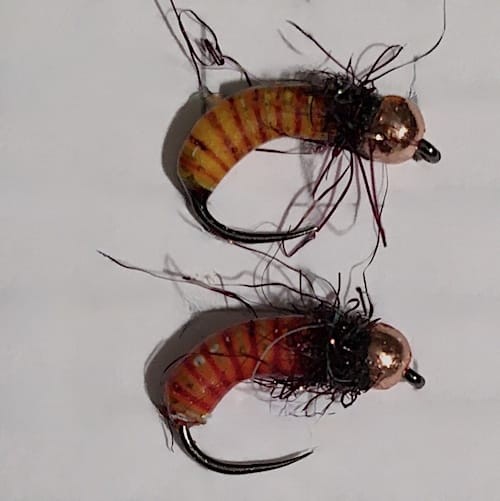 Forum (11/20) Fred06