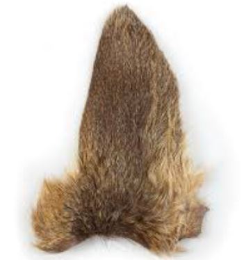 Site (02/21) Lapoisse