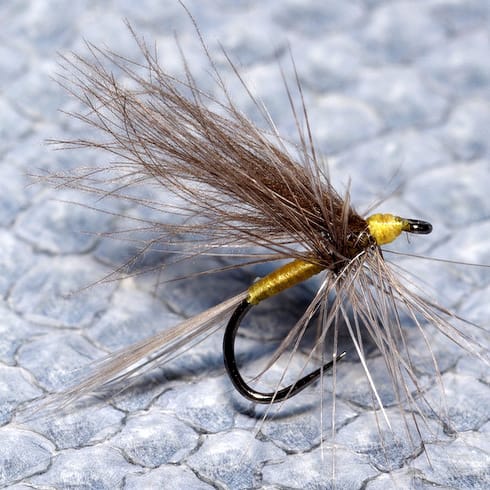 Mouche d'Ornans (Ersatz)