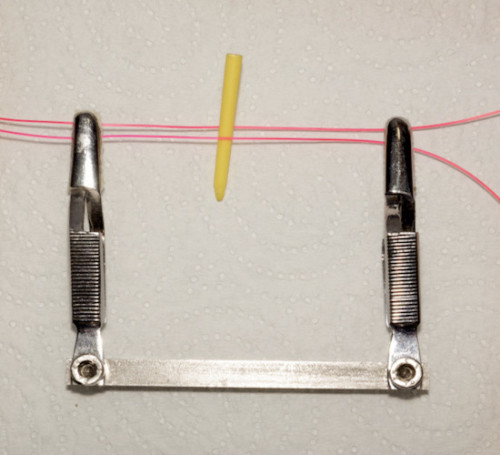 Forum (11/20) Coujou