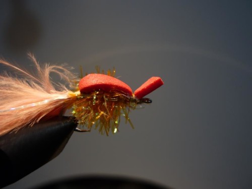 Le tantattendu (échange 06-07/2020)