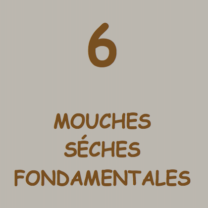 Forum (02/21) Pierrot