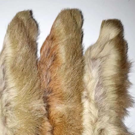 Forum (01/22) Fleurinois