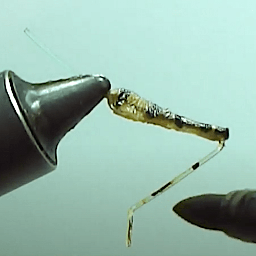 Forum (02/21) Seagull29