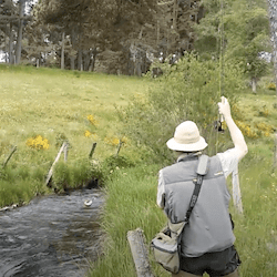 Peche à la mouche<br>dans l'Aubrac<br><br>Les séjours Bastide<br>NASBINALS<br><br>2016 durée 10:08