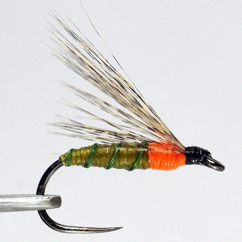 Forum (07/20) Pierrot