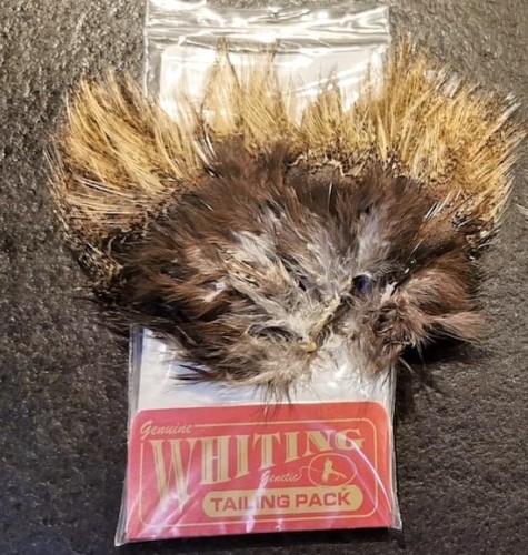 Forum (07/21) Pierrot