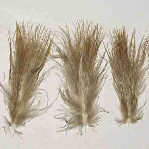 Forum (06/23) Pierrot