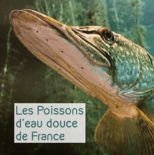 LES POISSONS D'EAU DOUCE DE FRANCE (Ed.2020)