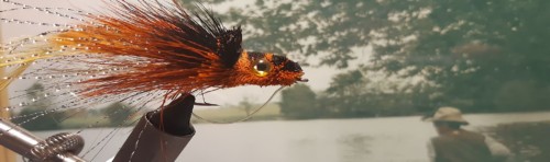 Popper pour le black-bass