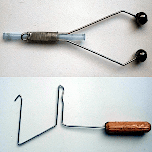 SITE (04/21) Seagull29