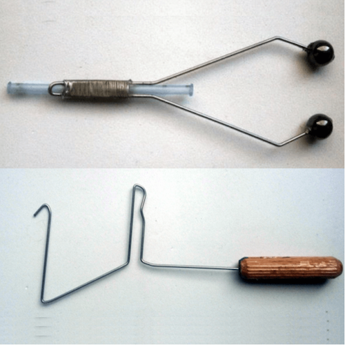 SITE (04/21) Seagull29