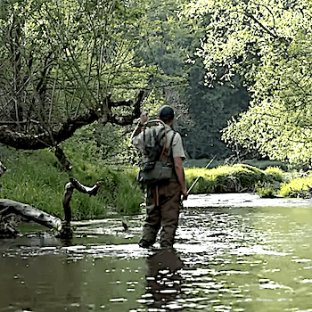 QUINTESSENCE<br><br>Hubert SEMPOCH<br><br>2024 durée 14:41