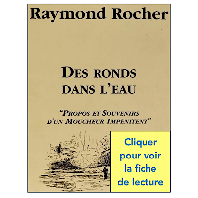 ROCHER / DES RONDS DANS L'EAU