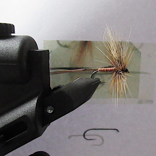 Forum (04/22) Lapoisse