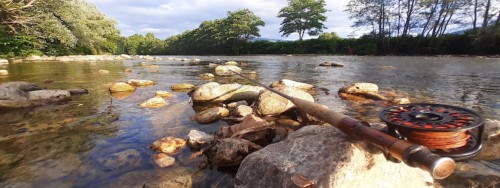 Rivière Thoré (Hérault, Tarn)