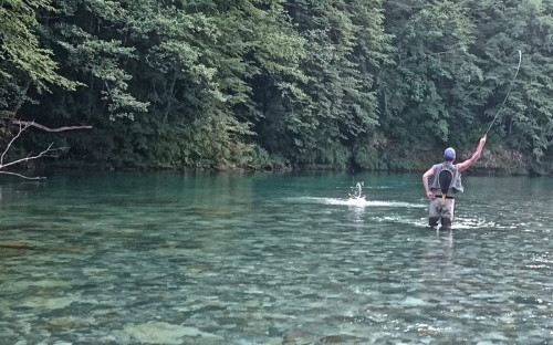 SLOVENIE - rivières ouest - pêcheurs 2