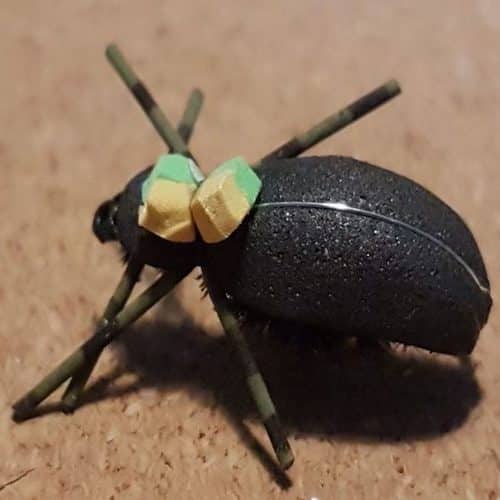 Gros scarabé