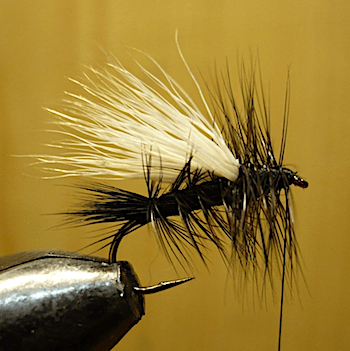 Stimulator de Jü (échange de mouches 12/21 - 01/22)