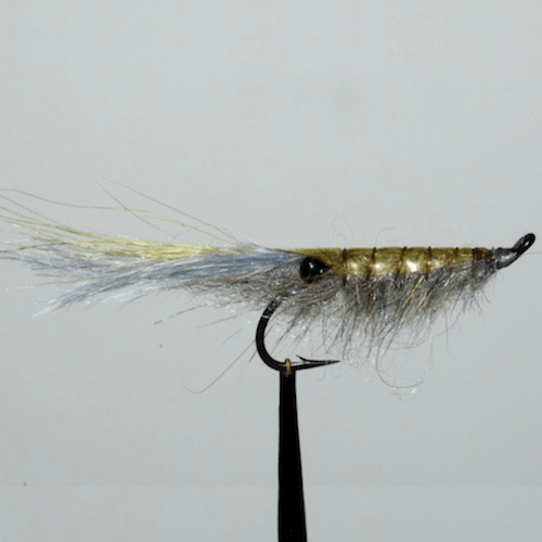 Spikey schrimp de Mig (échange de mouches 01-03/21)