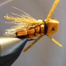 Stimulator HC foam stone (échange de mouches 12/21 - 01/22)