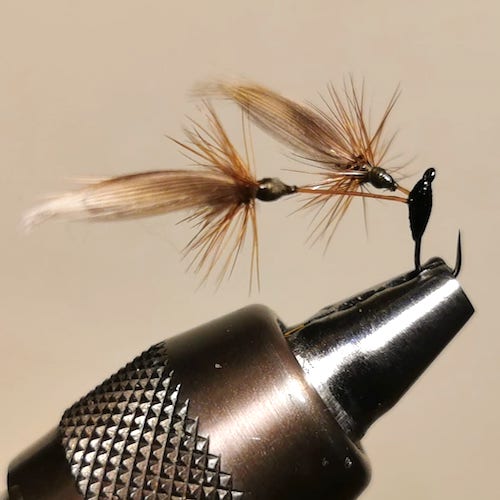 Sedge tandem quille (échange de mouches 03-05/21)