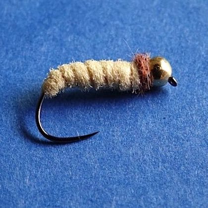 Teigne de Jü (échange de mouches 07-11/22)