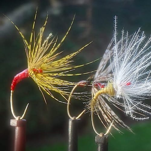 SITE (02/24) Fanch56