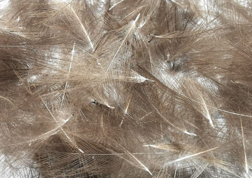 Site (06/23) Pierrot