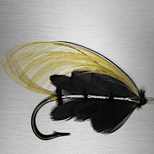 Forum (02/22) Lapoisse