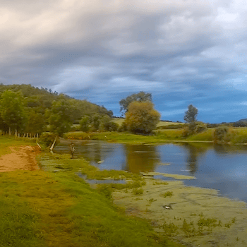 Vix en mai<br>La haute Seine<br><br>Alain MORIZOT-THIBAULT<br><br>2021 durée 7:17