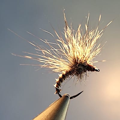 Emergente, montage paraloop en écureuil