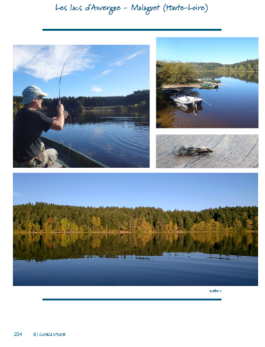 NOHARET page malaguet