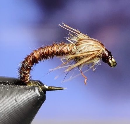 Pheasant tail       (montage McPHAIL)
