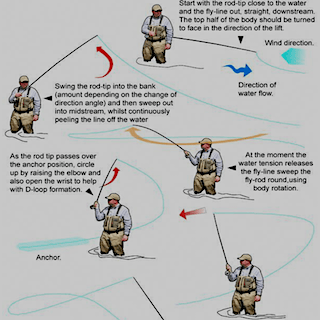 Site (05/20) Seagull29