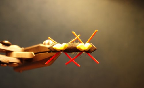 Stimulator de Casa (échange de mouches 12/21 - 01/22)