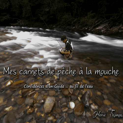MES CARNETS DE PÊCHE À LA MOUCHE T1 (2013)